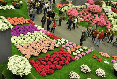 花展
