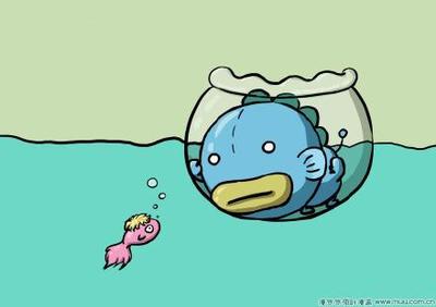 理解