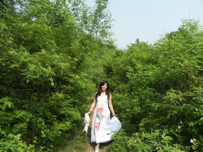 山林