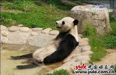 纳凉