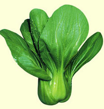 青菜