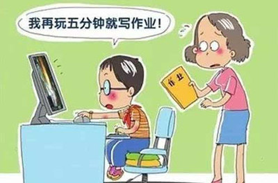 网虫