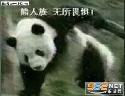 无所