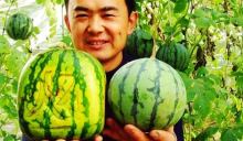 稀罕