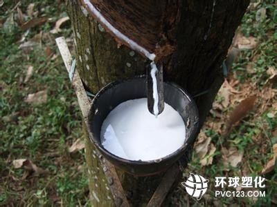 橡胶