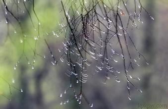 小雨
