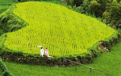心田
