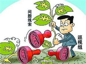 巡查