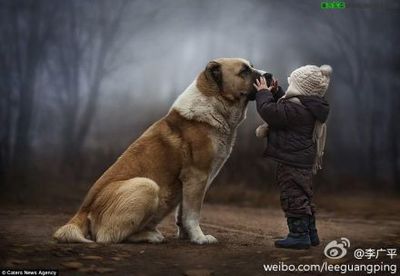 驯良