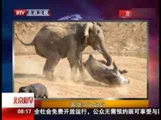 央求