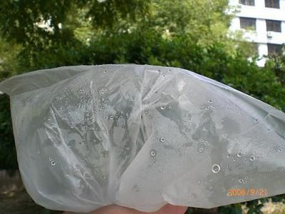蒸腾