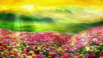 百花