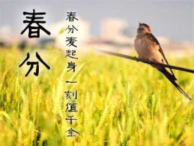 春分