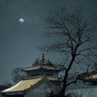 寒夜
