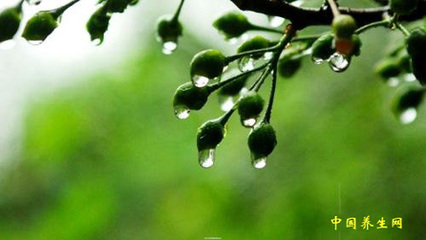 梅雨