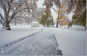初雪