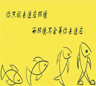 适应