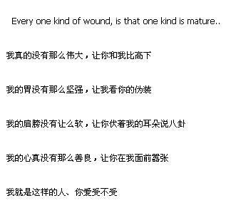 说明