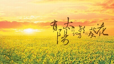 葵花
