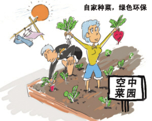 种菜