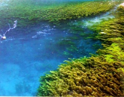 河湖
