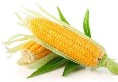 玉米