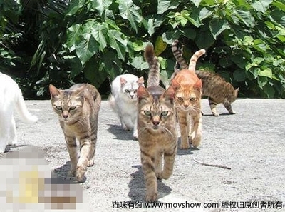 气势