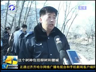 胆大妄为