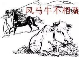 风马牛不相及