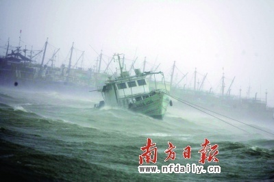 风雨飘摇