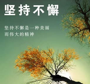 坚持不懈