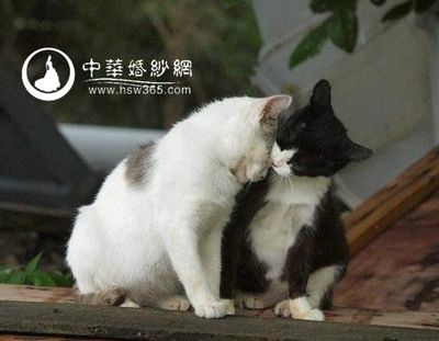 恋恋不舍