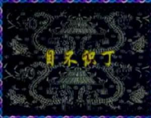 目不识丁