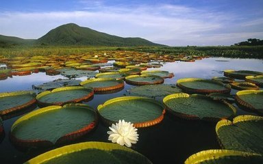 顷刻间