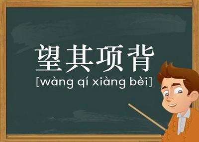 望其项背