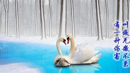 无微不至