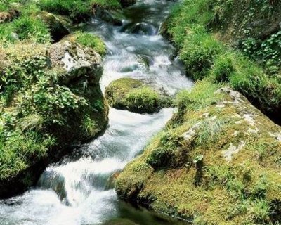 小溪流
