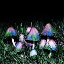 一把把