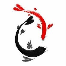 游来游去