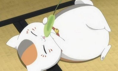 圆滚滚