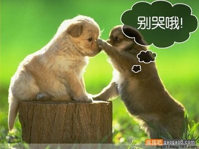 自我安慰