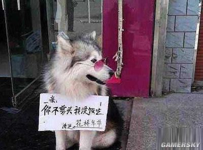 顿开