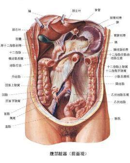 构造