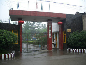 强项