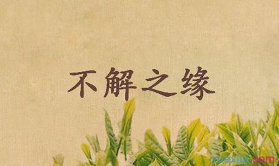 不解之缘