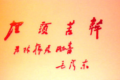 埋头苦干