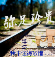 弥足珍贵
