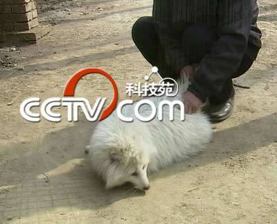 甚至于