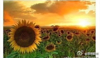 生生不息