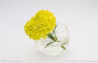 献花
